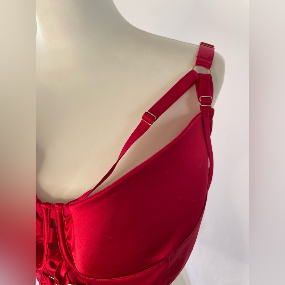 Gabi Fresh by Playful Promises Red Bra, 42I - Picture 3 of 6